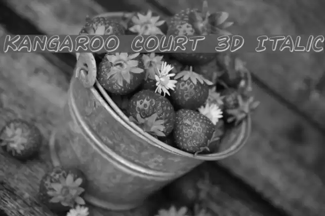 Kangaroo Court 3D Italic Font examples