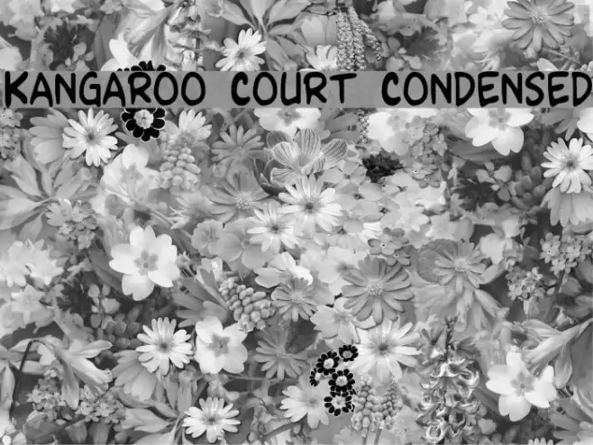 Kangaroo Court Condensed Font examples