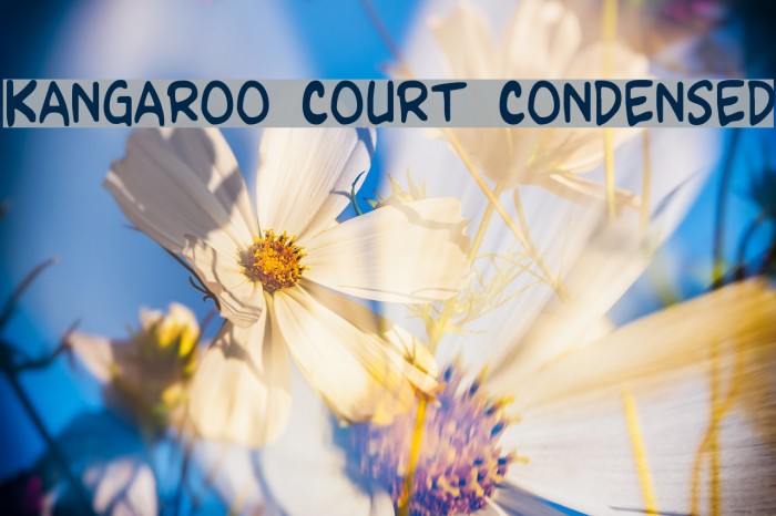 Kangaroo Court Condensed Font examples