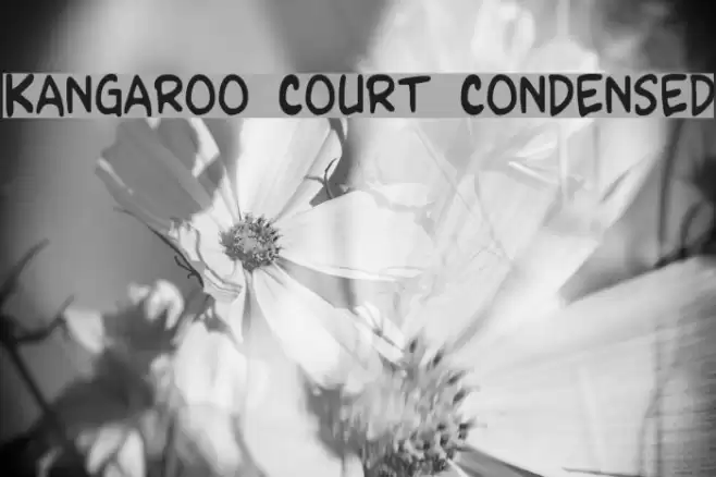 Kangaroo Court Condensed Font examples