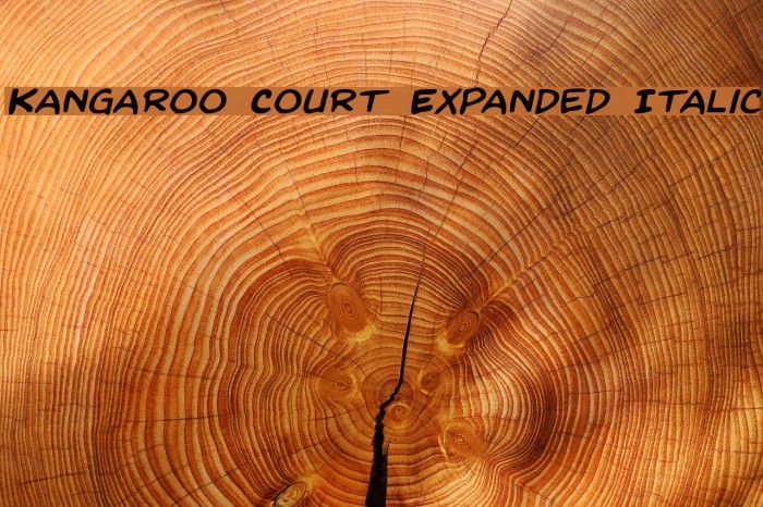 Kangaroo Court Expanded Italic Font examples