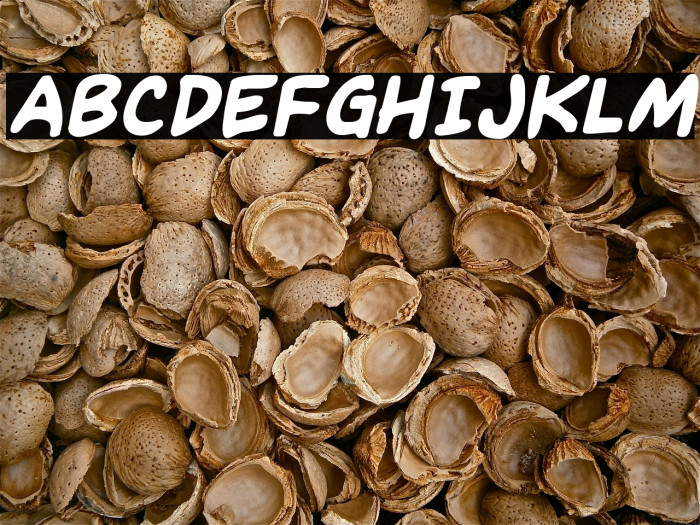 Kangaroo Court Italic Font examples