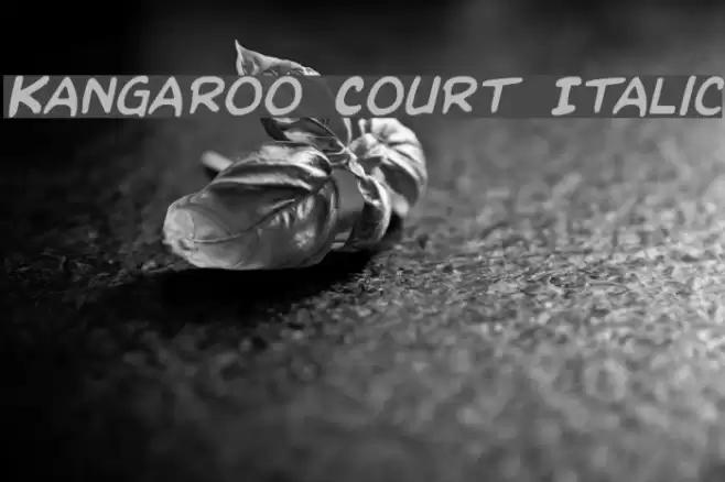 Kangaroo Court Italic Font examples