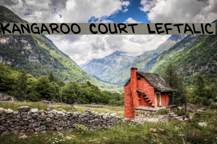 Kangaroo Court Leftalic Example 1