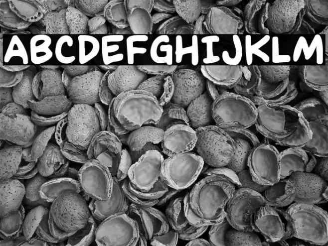 Kangaroo Court Regular Font examples