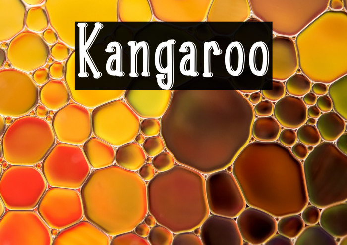 Kangaroo Example 1