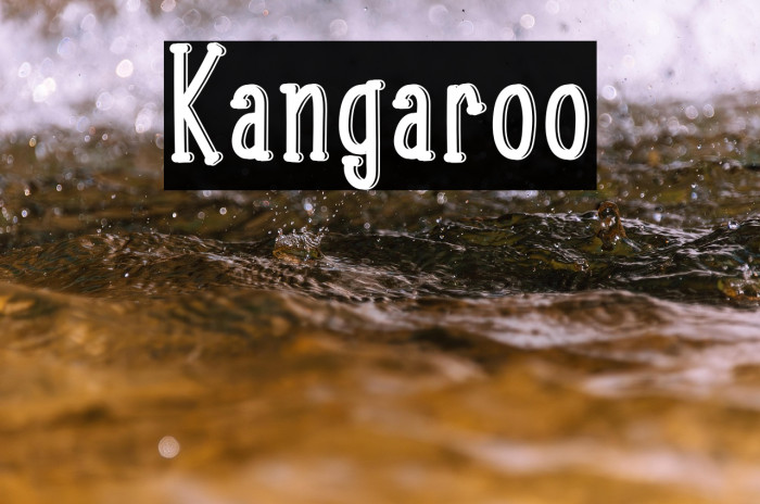 Kangaroo Example 2