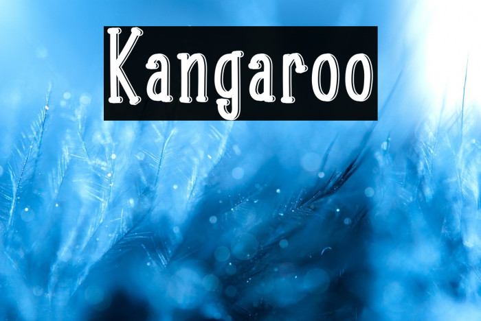 Kangaroo Example 3