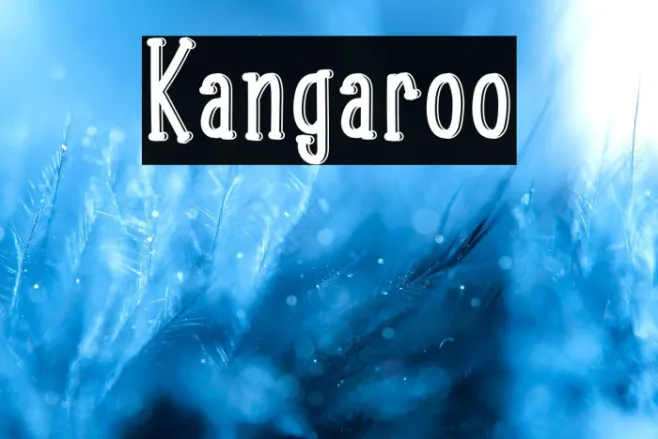 Kangaroo Example 3