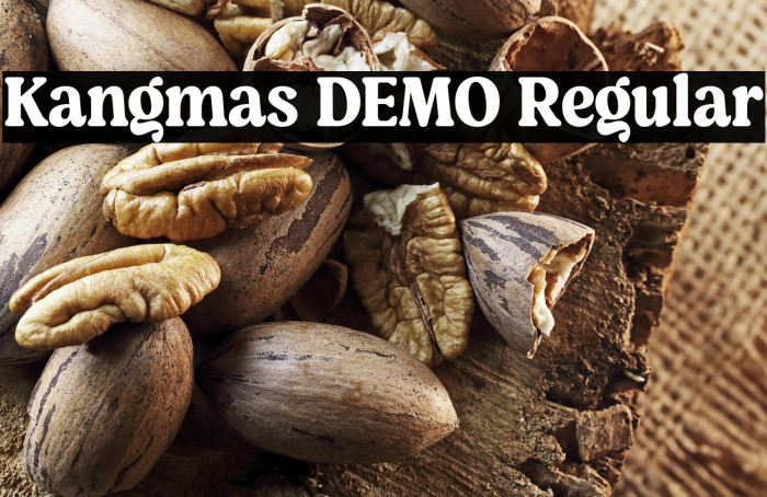 Kangmas DEMO Regular Example 2