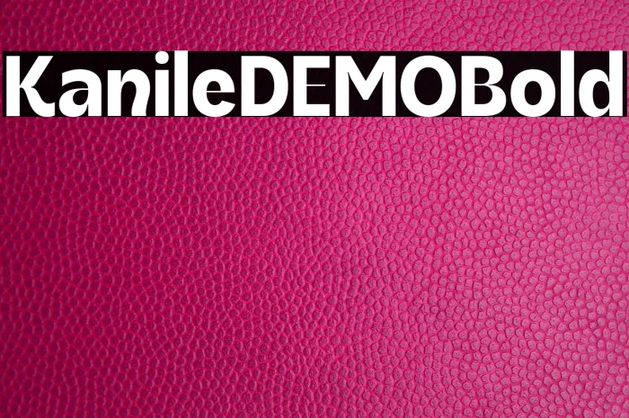 KanileDEMO Bold Example 3