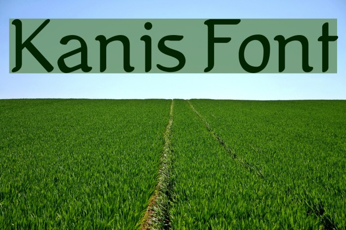 Kanis Font examples