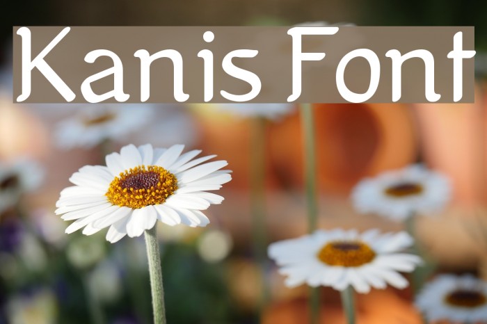 Kanis Font examples