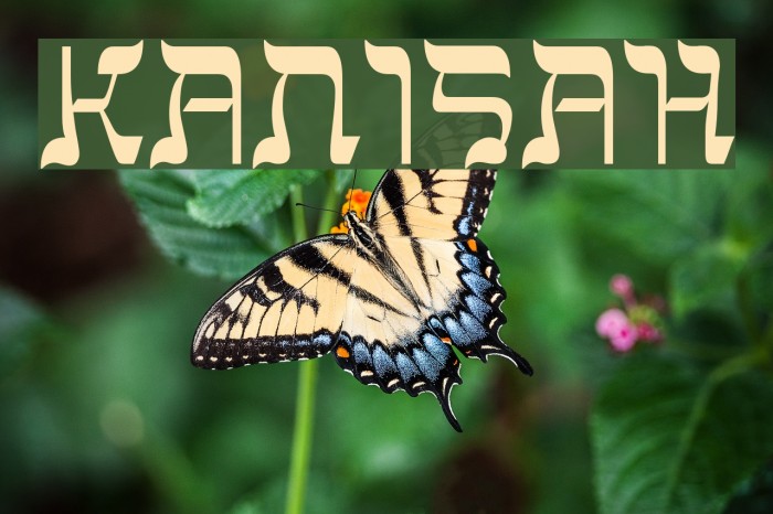 Kanisah Font examples