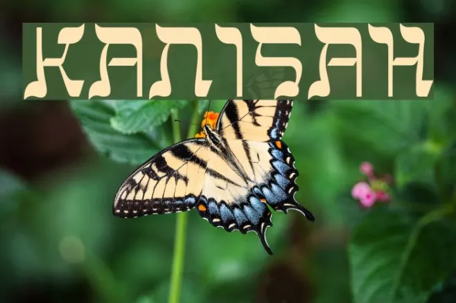 Kanisah Example 1
