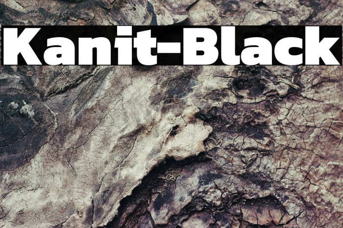 Kanit-Black Example 2