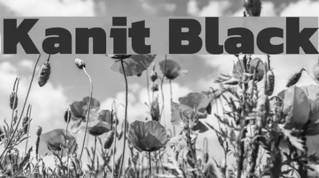 Kanit Black Font examples