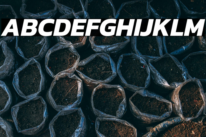 Kanit Bold Italic Example 2