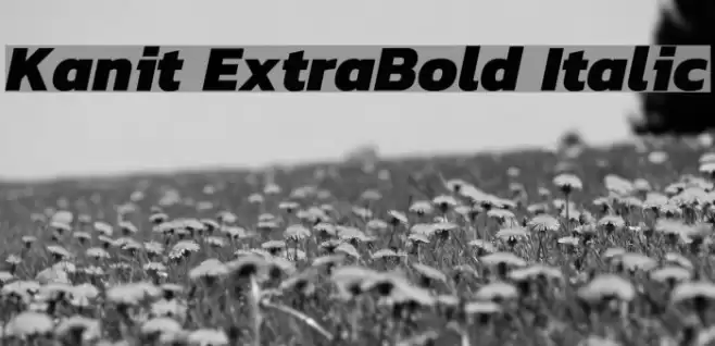 Kanit ExtraBold Italic Font examples