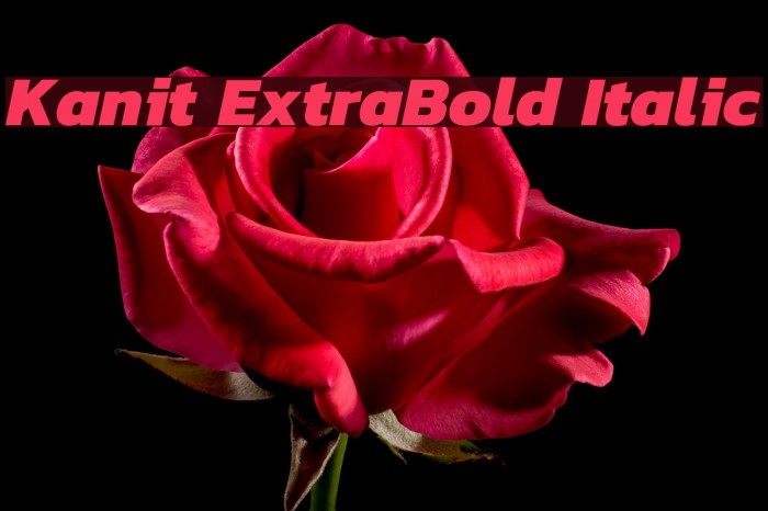 Kanit ExtraBold Italic Font examples