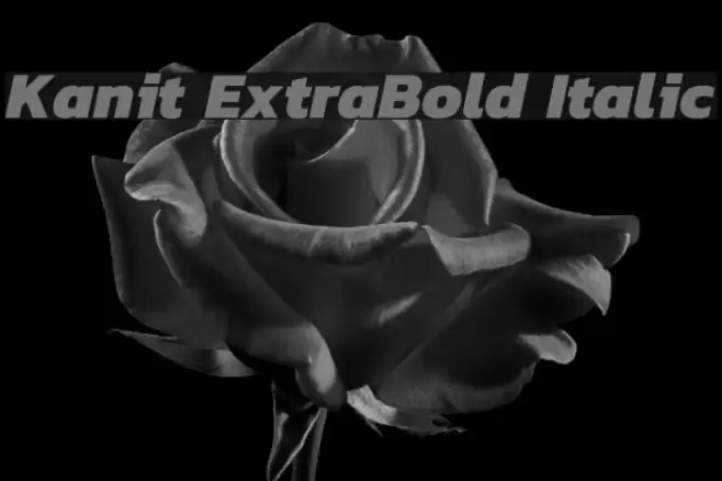 Kanit ExtraBold Italic Font examples