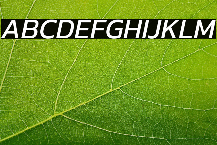 Kanit Italic Example 1