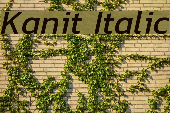 Italics examples