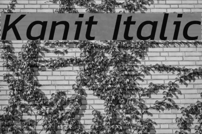 Kanit Italic Font examples