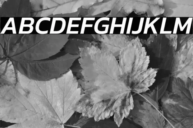 Kanit Medium Italic Font examples