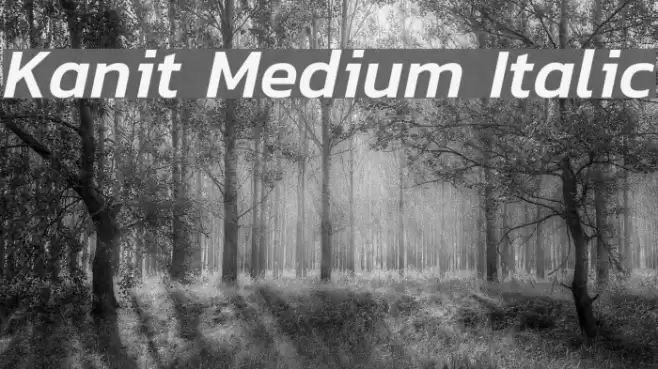 Kanit Medium Italic Font examples