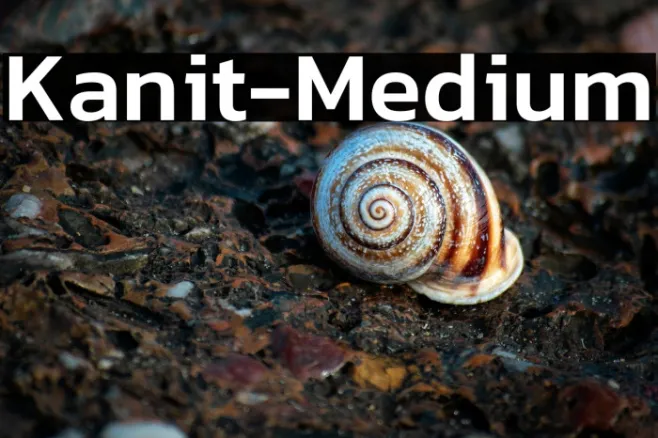 Kanit-Medium Example 1