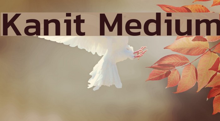 Kanit Medium Font examples