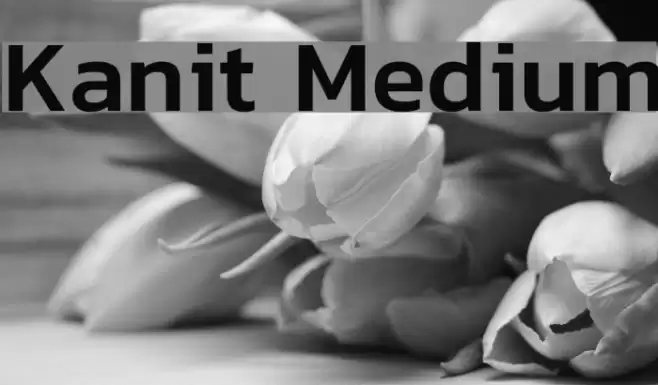 Kanit Medium Font examples