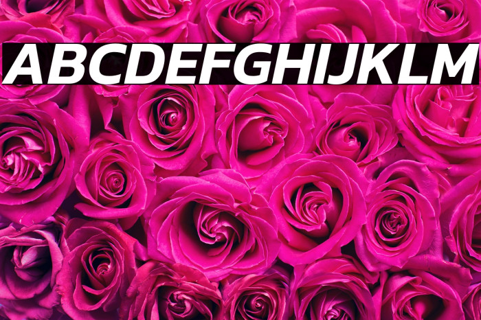 Kanit SemiBold Italic Example 2