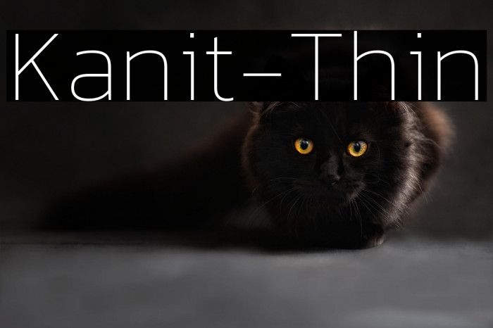 Kanit-Thin Example 3