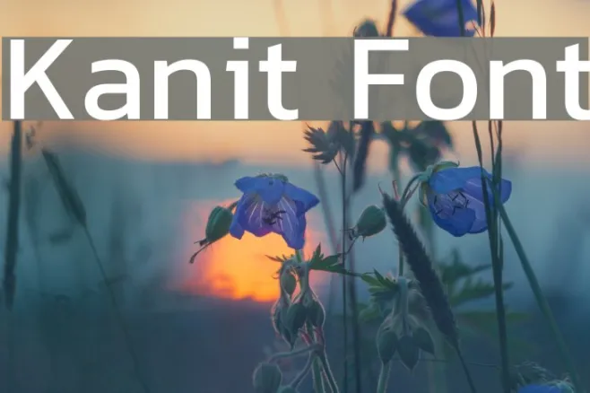 Kanit Example 2