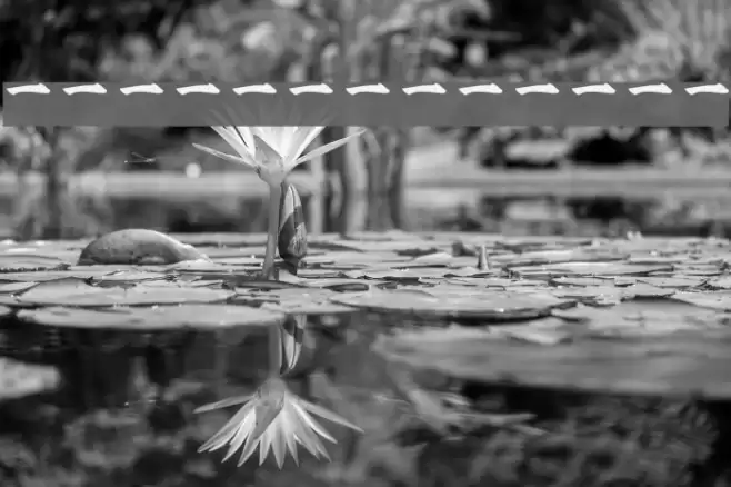 Kanji A Font examples