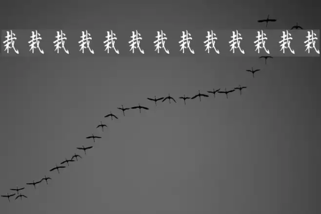 Kanji C Font examples