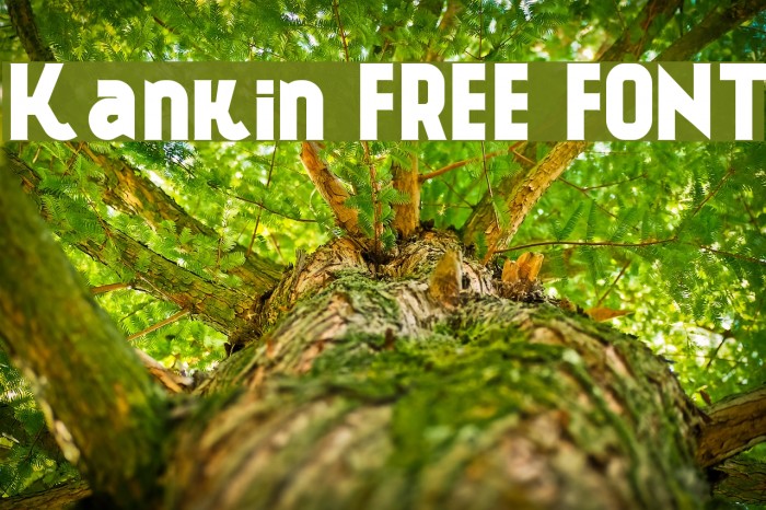 Kankin FREE FONT Font examples