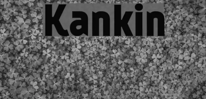 Kankin Polices examples
