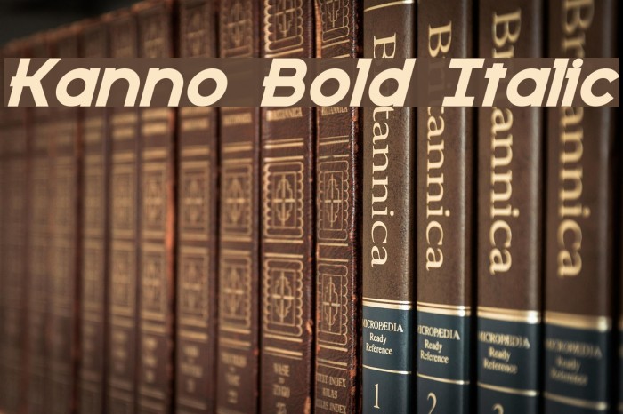Kanno Bold Italic Font examples