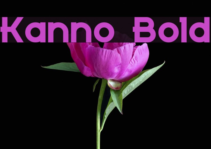 Kanno Bold Font examples
