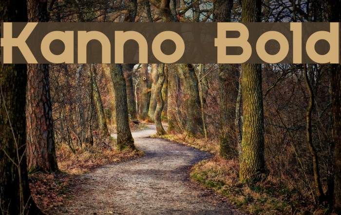 Kanno Bold Font examples