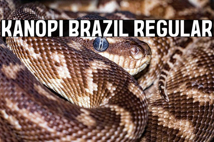 Kanopi Brazil Regular Example 3