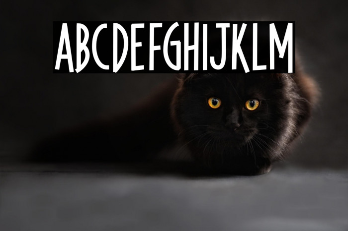 KanoteDemo Example 2