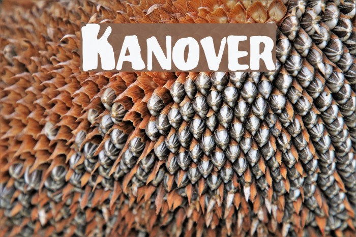 Kanover Font examples