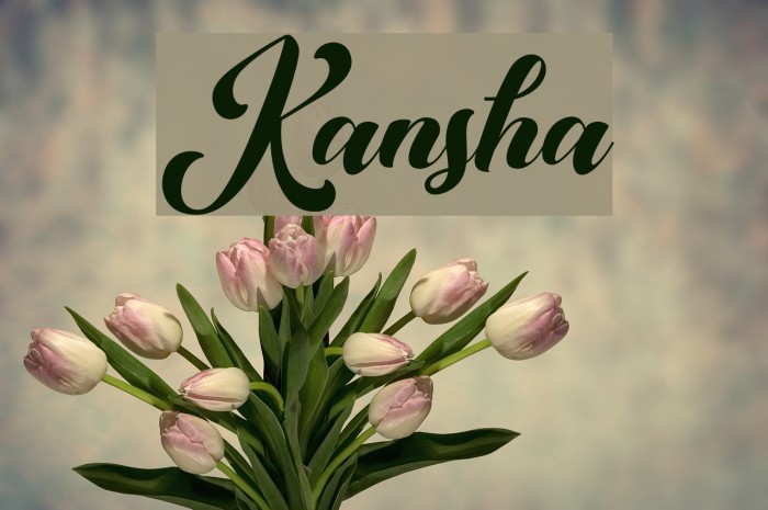 Kansha Font examples
