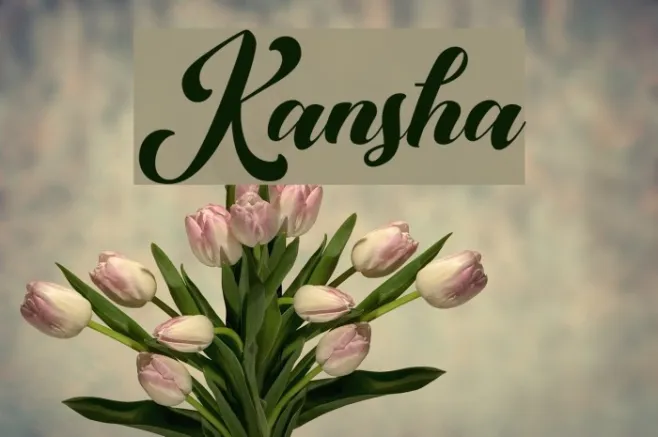 Kansha Example 1