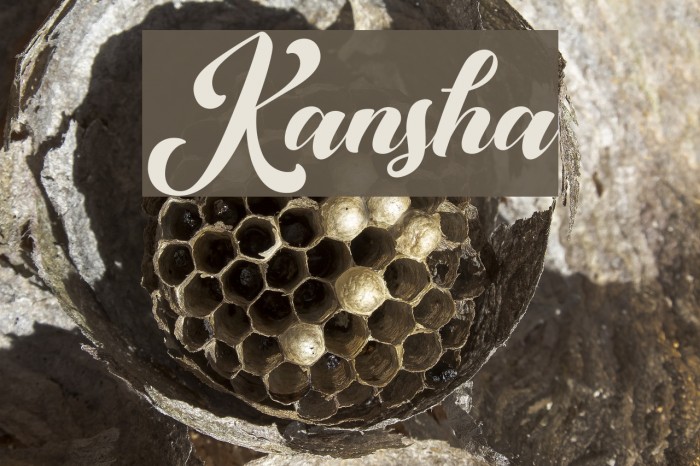 Kansha Font examples