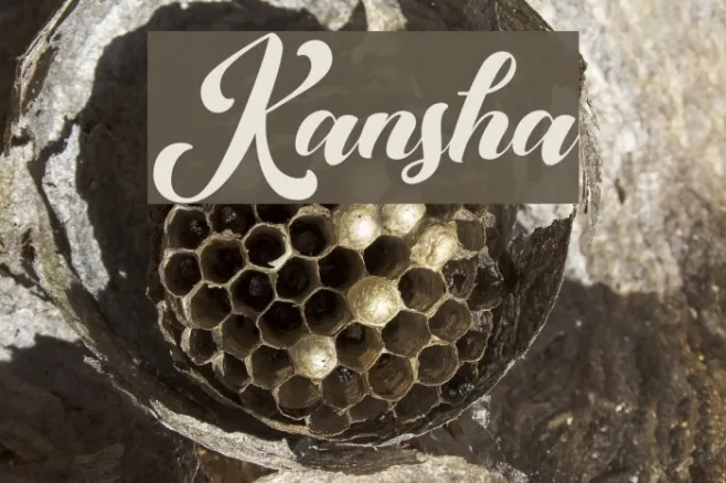 Kansha Example 2